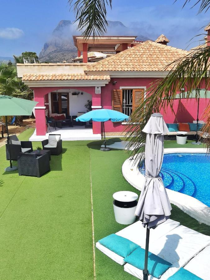Stag Hendo25Pax Only 10Min To The Party Area Despedidas 25Pax 10 Min De La Zona De Fiesta Consultar Precio Μπένιντορμ Εξωτερικό φωτογραφία