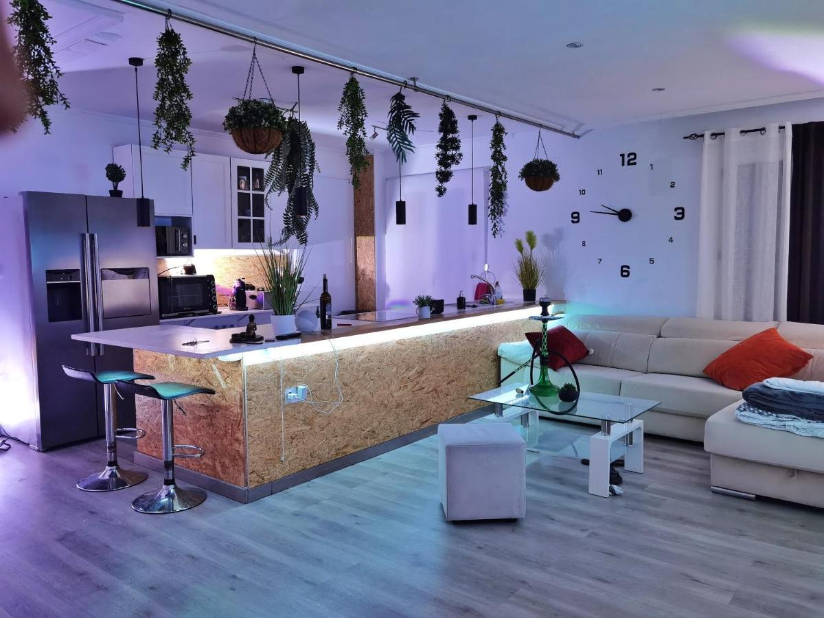 Stag Hendo25Pax Only 10Min To The Party Area Despedidas 25Pax 10 Min De La Zona De Fiesta Consultar Precio Μπένιντορμ Εξωτερικό φωτογραφία
